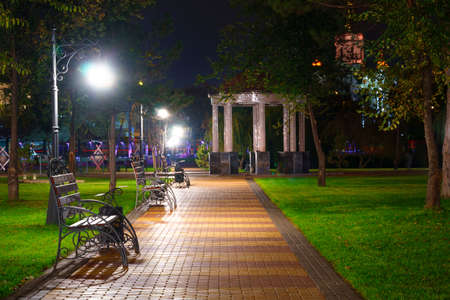 autumn city park at night, trees with yellow leaves, street lights and benchesの写真素材