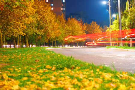 autumn in the city at night, trees with yellow leaves, road and housesの写真素材
