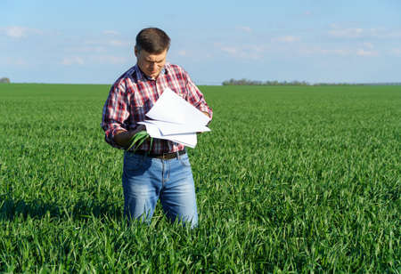 a man as a farmer poses in a field, dressed in a plaid shirt and jeans, checks reports and inspects young sprouts crops of wheat, barley or rye, or other cereals, a concept of agriculture and agronomyの写真素材