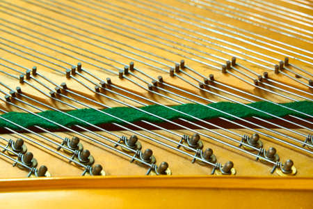piano deck close view, chords and other parts, grand piano musical instrument