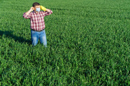 a man as a farmer walking along the field, dressed in a plaid shirt and jeans, checks and inspects...