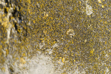 stone or concrete for background, textureの写真素材