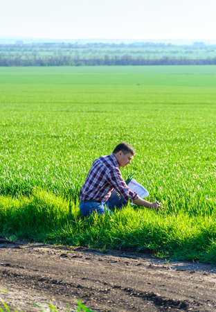 a man as a farmer poses in a field, dressed in a plaid shirt and jeans, checks reports and inspects...