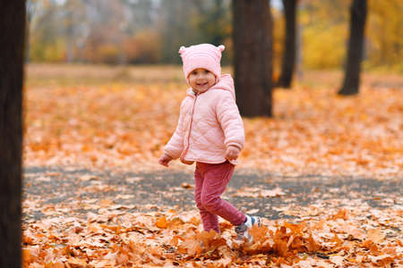 Child girl walking in autumn city park. Beautiful nature, trees with yellow leaves.の写真素材