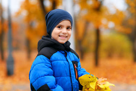 Portrait of a child boy in autumn city park. Beautiful nature, trees with yellow leaves.の写真素材