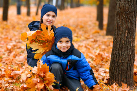Portrait of children in the autumn city park. They collect leaves. Beautiful nature, trees with yellow leaves.の写真素材