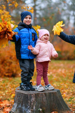 Portrait of a children in an autumn city park - happy people playing together on a stump, beautiful nature with yellow leaves as background.の写真素材