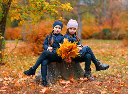 Girls playing and posing in autumn city park. Two children plays with yellow maple leaves. Fall season, beautiful nature with yellow trees.の写真素材