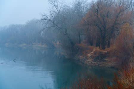 wild natural landscape, late autumn season, river, bare branches of trees without leaves, cloudy weather with haze, forest with silhouettes of treesの写真素材