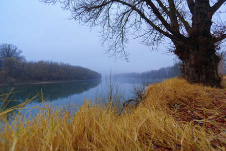 wild natural landscape, late autumn season, river, bare branches of trees without leaves, cloudy...