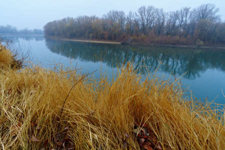 wild natural landscape, late autumn season, river, bare branches of trees without leaves, cloudy...