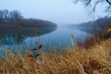 wild natural landscape, late autumn season, river, bare branches of trees without leaves, cloudy weather with haze, forest with silhouettes of treesの写真素材