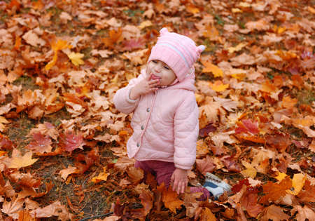 Child girl sitting on fallen leaves in autumn city park. Beautiful nature, trees with yellow leaves.の写真素材