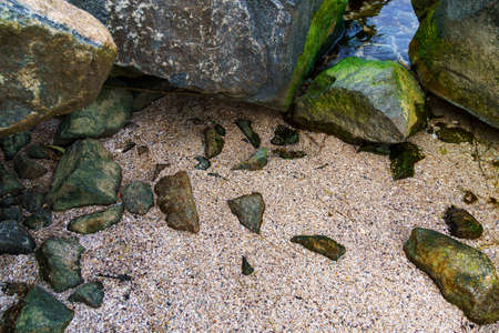 seashore, rocks on sand close view as backgroundの写真素材