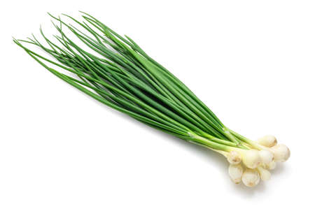 a bunch of green onions in detail, the object is isolated on a white background, the concept of fresh vegetables and healthy foodの写真素材