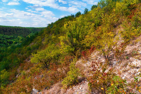 forest on a hill, wild grass and rocks, beautiful valley with green trees, blue sky with clouds on...