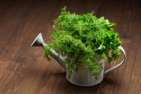 a bunch of green dill and parsley in an iron watering can, dark wooden background, concept of fresh...