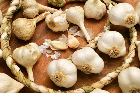 braided garlic heads and cloves on a rustic wooden background, delicious and healthy foodの写真素材