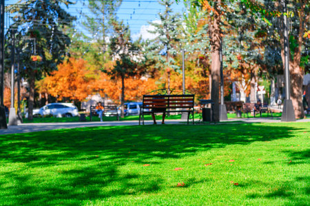 bright sunny day in autumn city park, green lawn, and yellow leaves, street, focus on foregroundの写真素材