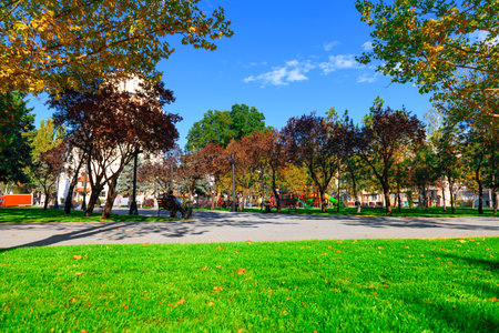 bright sunny day in autumn city park, green lawn, and yellow leaves, streetの写真素材