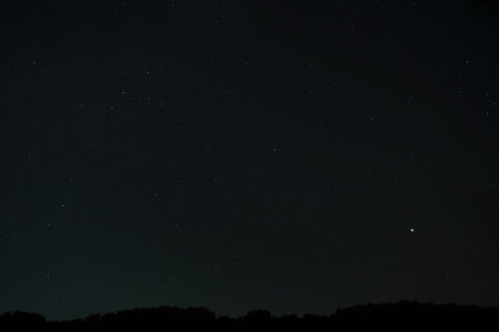 night sky with stars, dark forest and black silhouette of trees as backgroundの写真素材