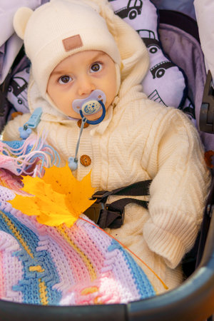 portrait of a baby in a baby stroller decorated with yellow maple leaves in an autumn city park, beautiful nature, bright sunny dayの写真素材