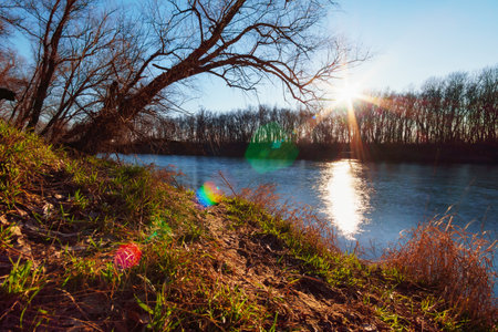 beautiful autumn landscape in the forest, bright sunny day turns to sunset, sunlight on fallen leaves of trees, river bank and flow of waterの写真素材