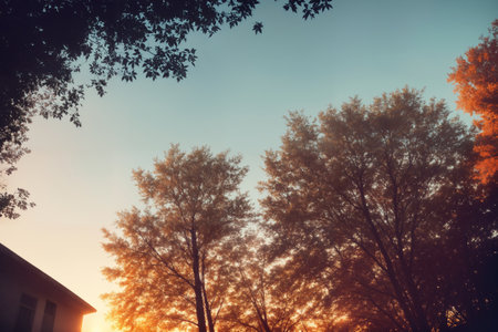 Tree top in a city at sunset, building and sunlight. Generative AI.の素材