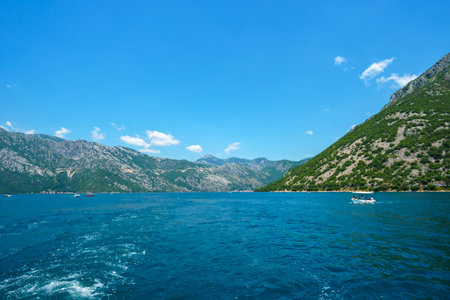 yacht trip in the Bay of Kotor, Montenegro, bright sunny day, mountains and palm trees, travel