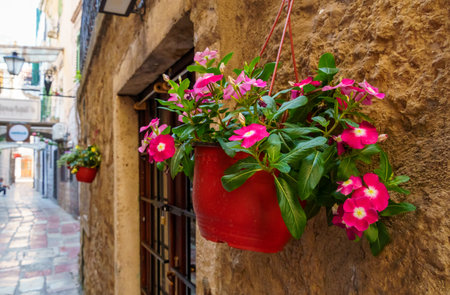 Street view of old city Kotor in Montenegro, medieval european architecture, balkan travelの写真素材