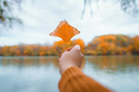 the hand of a teenage girl holds a yellow autumn leaf against the background of a river and forest,...