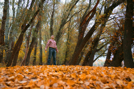 a man walks in a glade by the river bank and enjoys the scenery, beautiful nature in the autumn season, the river and the forest with bright yellow leaves, cloudy sky in the eveningの写真素材