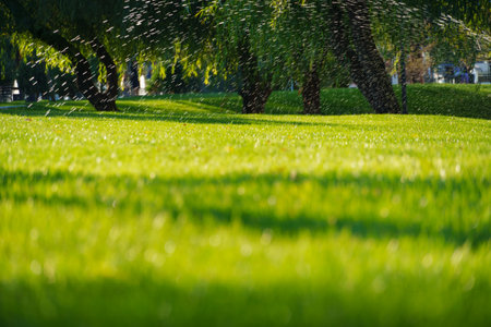 watering the lawn in the city park, splashing water, bright sunlight on the green grass, trees in the shade, a beautiful summer landscapeの写真素材