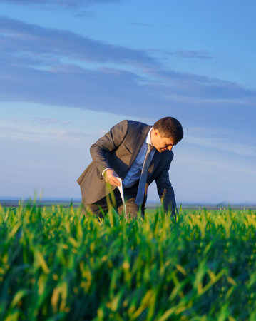 a businessman poses on a green grass field, concept of leisure or freelancingの写真素材