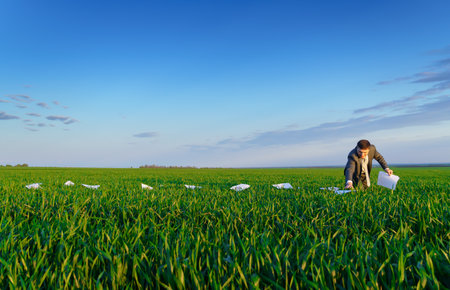businessman lays out reports on a green grass field, the concept of work and freelancing