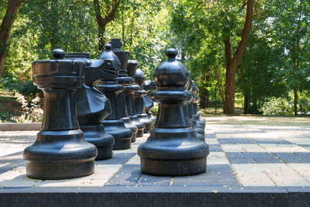 street chess in the city park in the summer seasonの写真素材