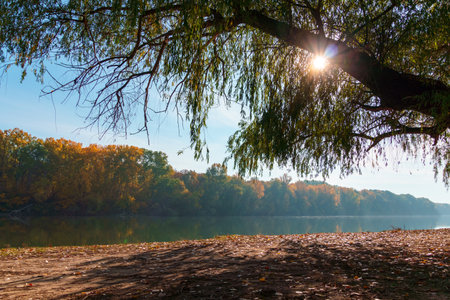 beautiful autumn landscape with river and forest on bright sunny day, white clouds in blue sky,...