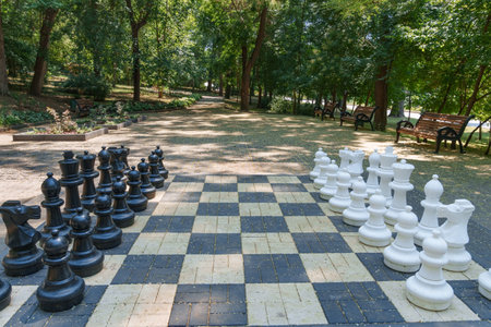 street chess in the city park in the summer seasonの写真素材
