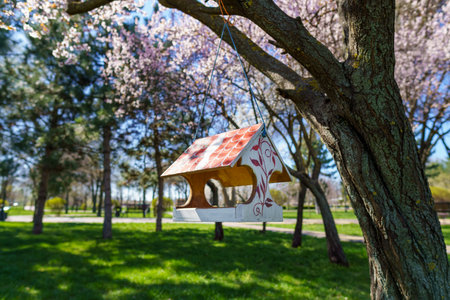 cherry blossoms in the city park, bird feeder, a bright sunny dayの写真素材