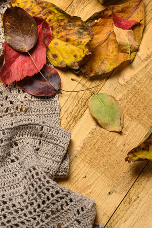 dry autumn leaves on woolen background .の写真素材