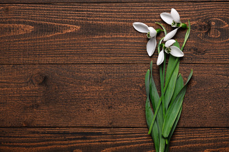 blooming snowdrop flowers on wooden backdrop, top view, studio photo, abstract floral backgroundの写真素材