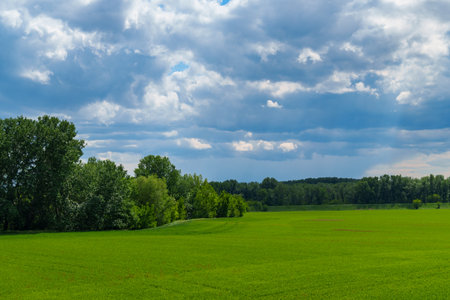 A beautiful spring landscape. The green foliage of the forests and fields contrasts with the cloudy skyの写真素材
