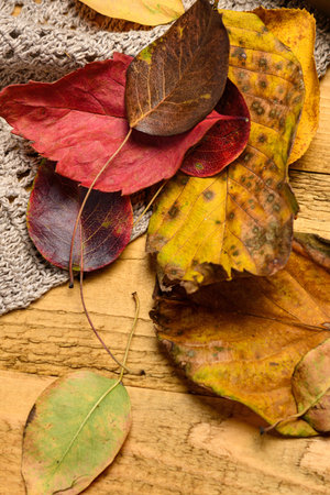 Sweet food Turkish delight on wooden background with autumn leaves, assorted locum and candy for decorated backdrop.の写真素材