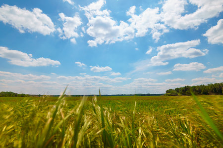 A beautiful spring landscape on a bright and sunny day. The green foliage of the forests and fields contrasts with the blue sky and white cloudsの写真素材