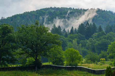 beautiful rural landscape with view of Carpathian mountains and forest, with wooden fence and cloudy skyの写真素材