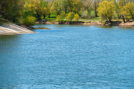 A beautiful spring landscape with a forest and river view. Green grass and trees create a beautiful...
