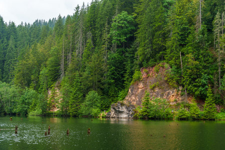 beautiful and dramatic landscape with lake, mountains and forest against a cloudy skyの写真素材