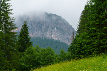 beautiful and dramatic landscape with mountains and forest against a cloudy sky