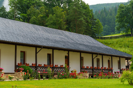 beautiful rural house decorated with flowers, in traditional Romanian or Moldovan style, against the...