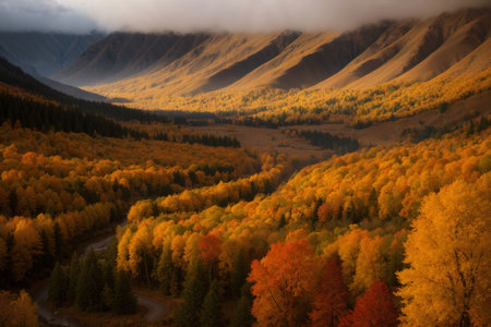 beautiful landscape of autumn forest at sunset, yellow trees and sunlightの素材